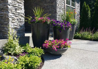 Decorative Cement Planter Pots