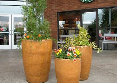 Commercial Concret Planters - Tuscan Gold Stain