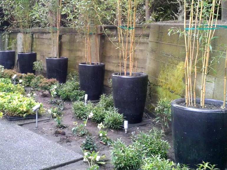 Tall large concrete stone cement pots for trees.