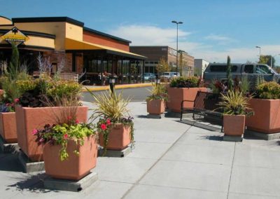 Large Square Concrete Planters - Terra Cotta