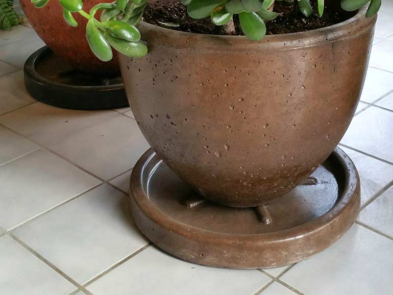 Xinh Concrete Planter Saucers for Cement Pots - Ornamental Stone Inc.