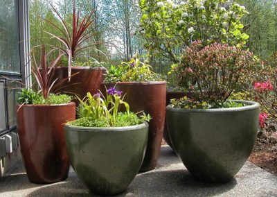 Beautiful Xinh Planter Pots