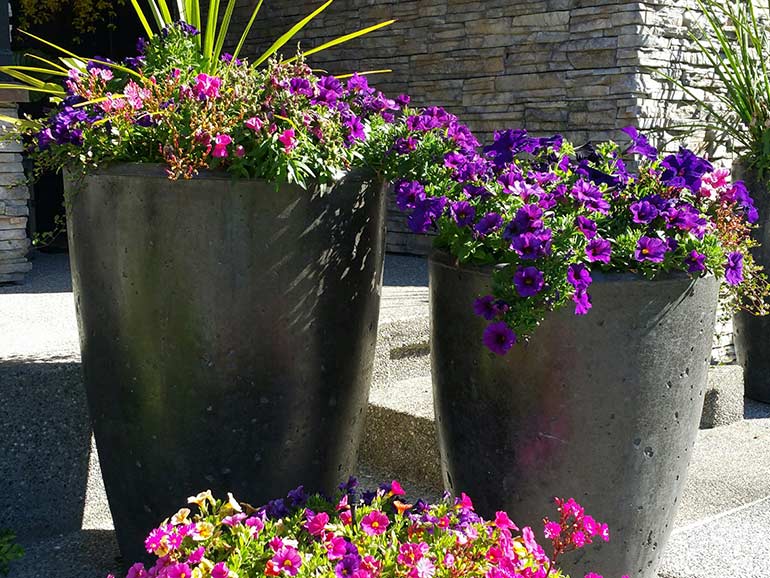 Tall Concrete Planters and Cement Pots - Xinh Series